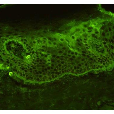 Fig1-4